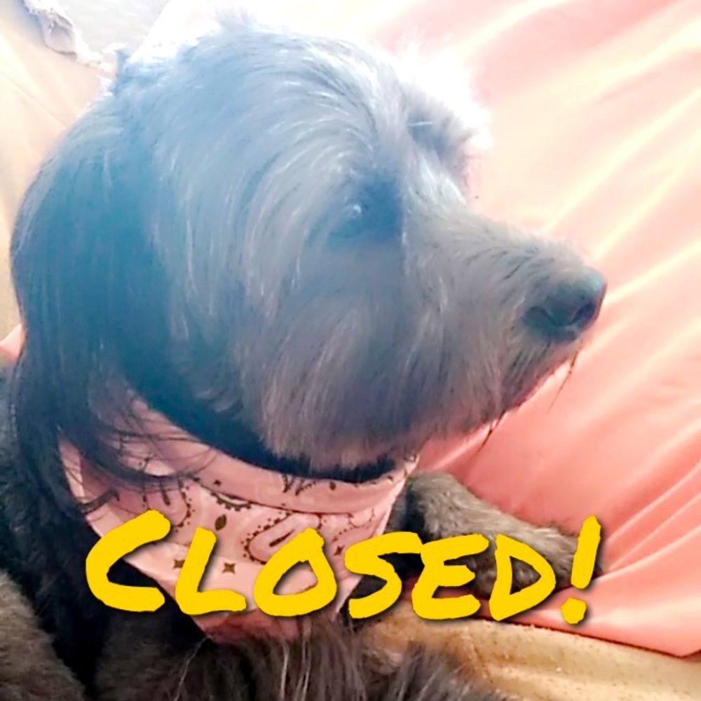 Closet Closed!